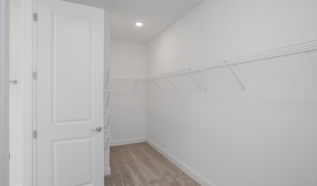 2901 Windstone Trl, Columbia, TN 38401 - walk in closet with light colored carpet