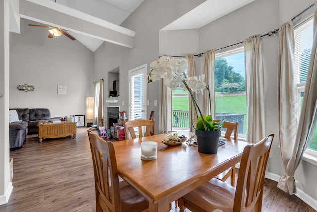 1515 Bridgecrest Dr Unit 408, Antioch, TN 37013 - dining space with ceiling fan, high vaulted ceiling, wood finished floors, and a fireplace
