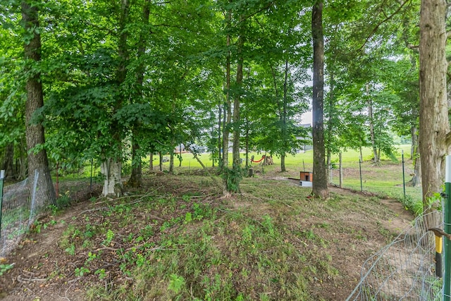 1567 Oak Knob Rd, Lafayette, TN 37083 - view of yard