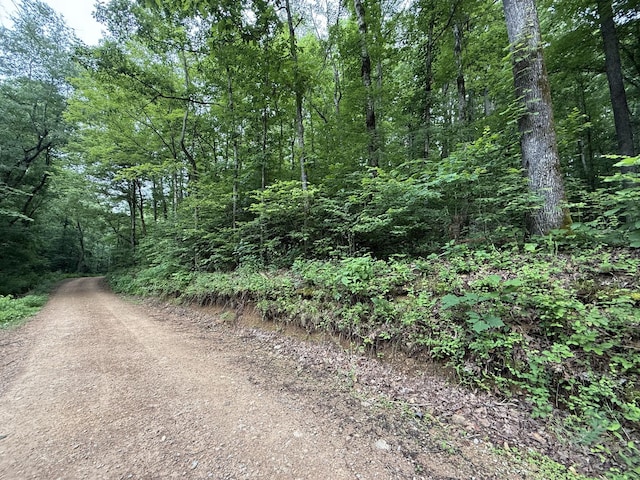 0 Hassell Creek Rd, Centerville, TN 37033
