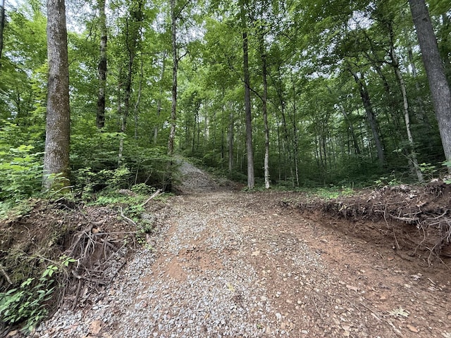 0 Hassell Creek Rd, Centerville, TN 37033
