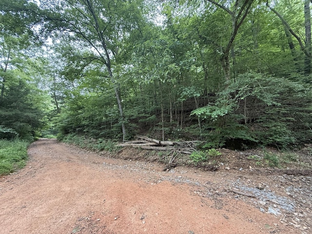 0 Hassell Creek Rd, Centerville, TN 37033