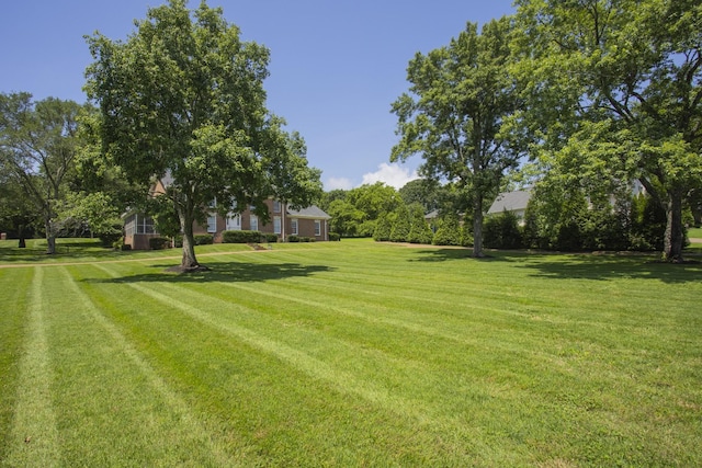 115 River Chase Dr, Hendersonville, TN 37075 - photo 5