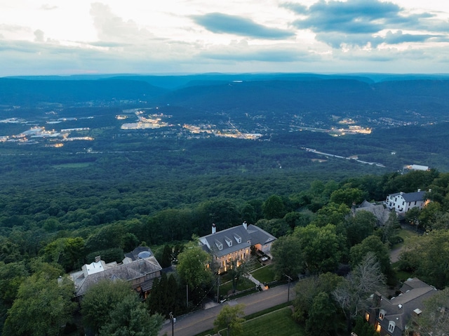 802 W Brow Rd, Lookout Mountain, TN 37350 - photo 4