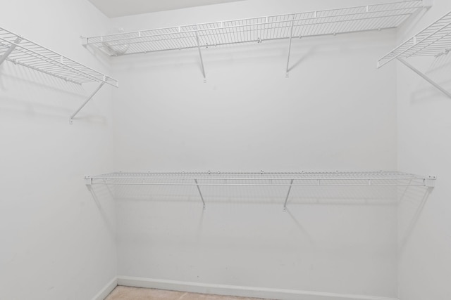 1729 Dryden Dr, Spring Hill, TN 37174 - view of walk in closet