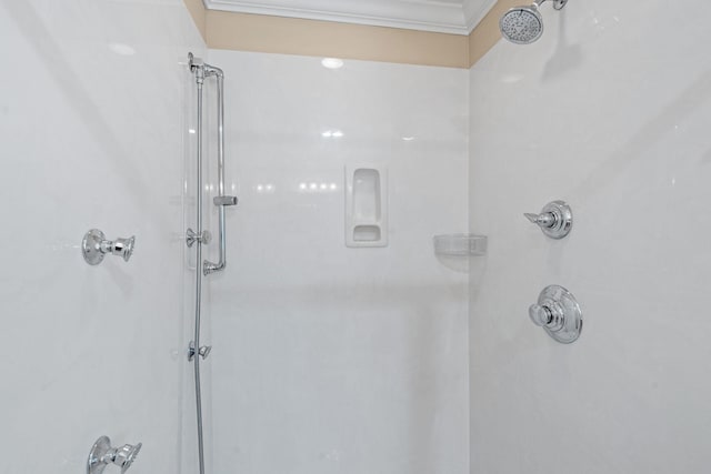 1729 Dryden Dr, Spring Hill, TN 37174 - full bath featuring a shower and ornamental molding