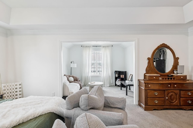 6007 Cavalry Ct, Spring Hill, TN 37174 - bedroom with carpet floors