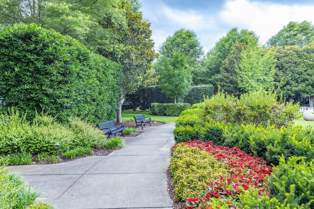 201 Acadia Ave, Franklin, TN 37064 - photo 36