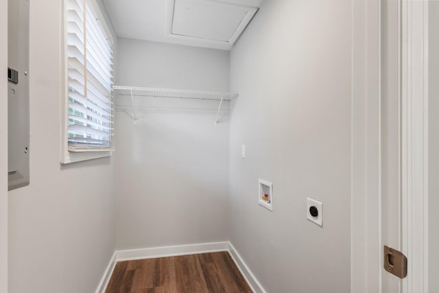706 Poplar Ave, Murfreesboro, TN 37130 - laundry room with electric dryer hookup, hookup for a washing machine, dark wood-style floors, and attic access