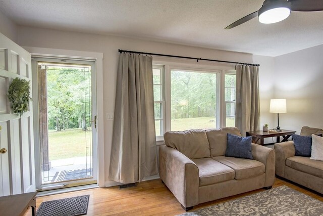 119 Walton Ln, Tracy City, TN 37387 - photo 8
