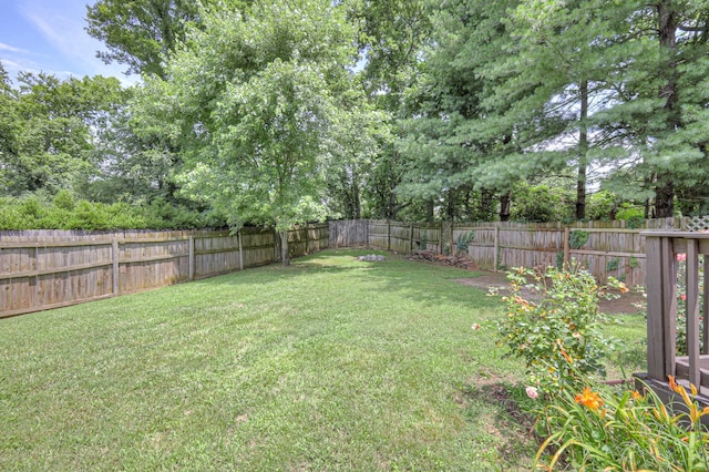 2902 Crenshaw Ct, Spring Hill, TN 37174 - view of fenced backyard