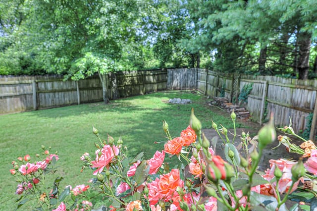 2902 Crenshaw Ct, Spring Hill, TN 37174 - view of fenced backyard