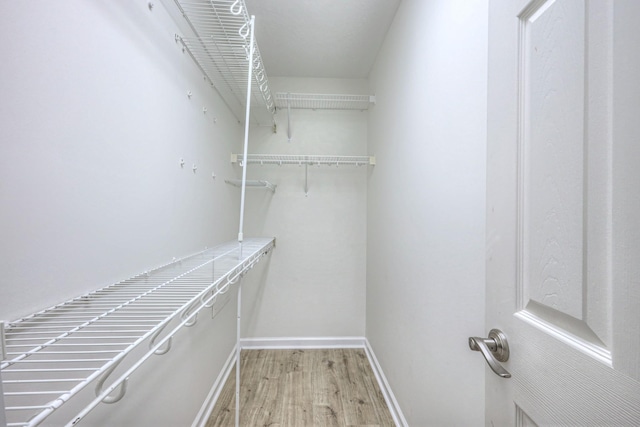 2902 Crenshaw Ct, Spring Hill, TN 37174 - spacious closet with light wood-style flooring