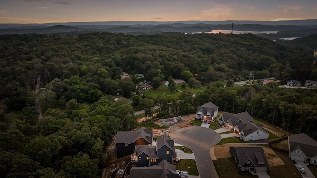 6969 Mercedes Ln, Ooltewah, TN 37363 - photo 84