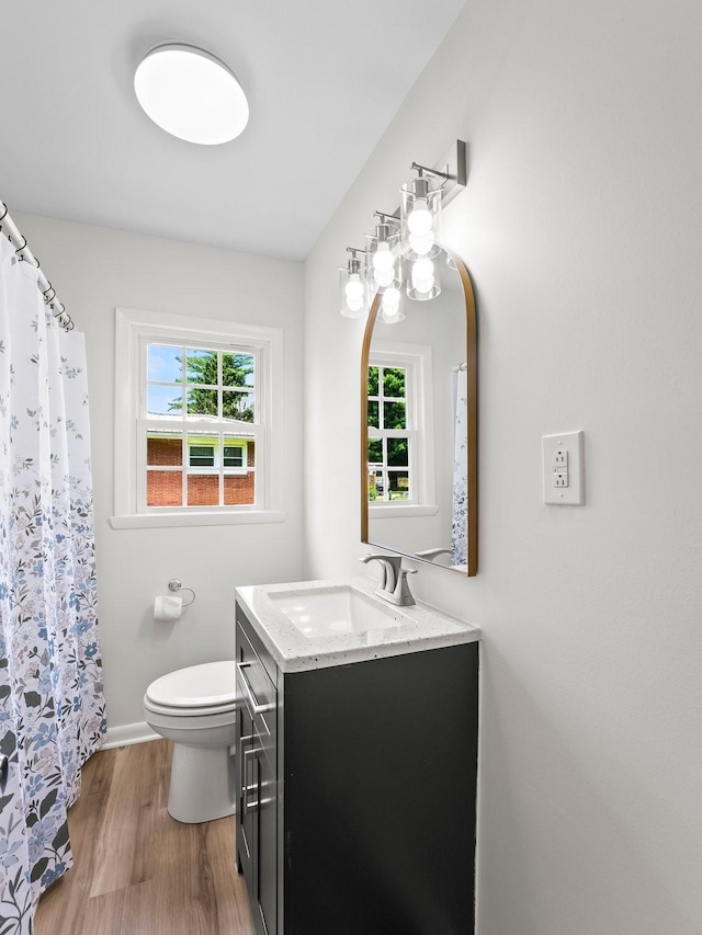 206 Elk Acre Dr, Estill Springs, TN 37330 - bathroom with vanity, wood finished floors, and a shower with curtain