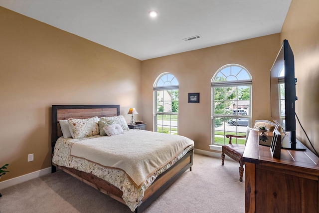 7216 Sky Meadow Dr, College Grove, TN 37046 - photo 15