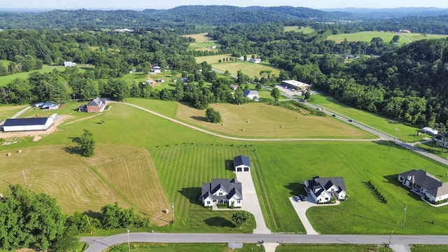 114 Awesome Ave, Cottontown, TN 37048 - photo 6