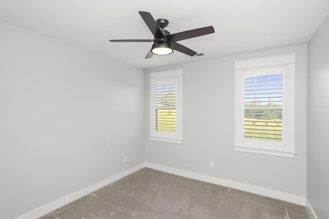 114 Awesome Ave, Cottontown, TN 37048 - photo 45