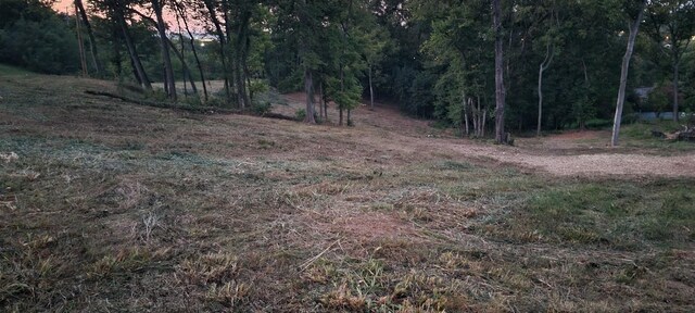 0 Alpine Dr, Columbia, TN 38401 - photo 7