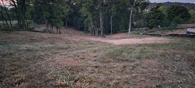 0 Alpine Dr, Columbia, TN 38401 - photo 6