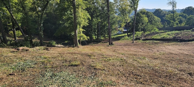 0 Alpine Dr, Columbia, TN 38401 - photo 2