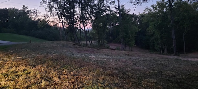 0 Alpine Dr, Columbia, TN 38401 - photo 4