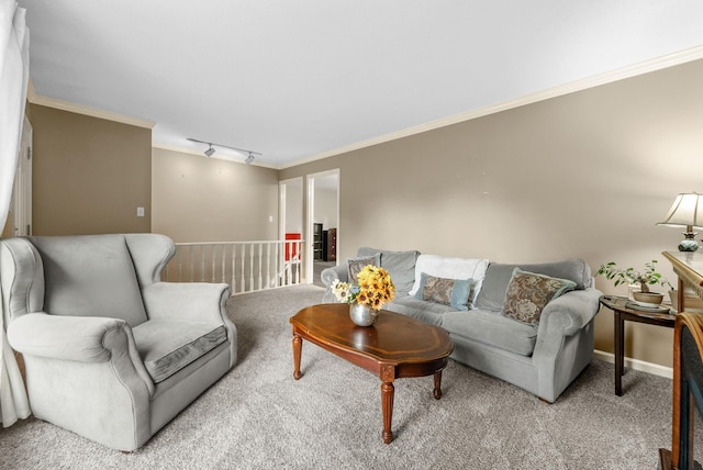 305 Barry Dr, Clarksville, TN 37040 - carpeted living area with crown molding and rail lighting