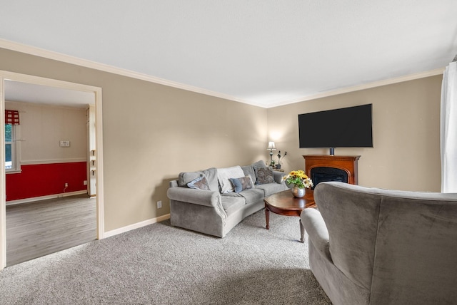 305 Barry Dr, Clarksville, TN 37040 - living area with ornamental molding, a fireplace, and carpet