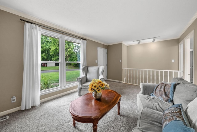 305 Barry Dr, Clarksville, TN 37040 - living room featuring carpet flooring, crown molding, and rail lighting