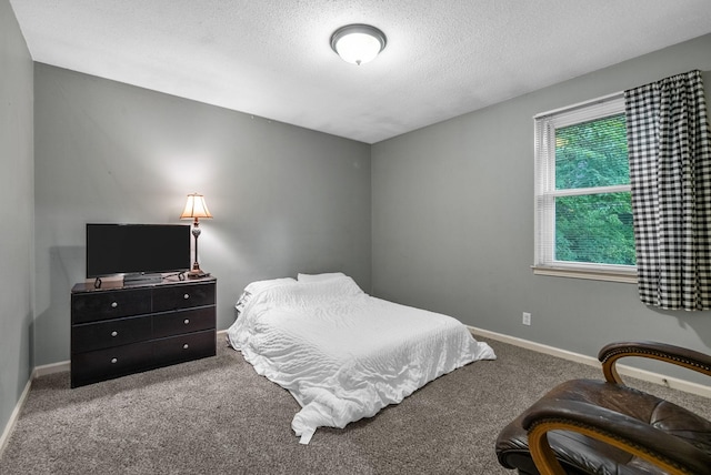 305 Barry Dr, Clarksville, TN 37040 - bedroom with carpet and a textured ceiling