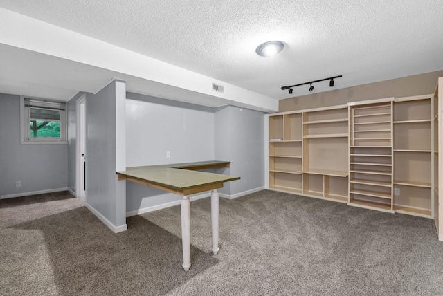 305 Barry Dr, Clarksville, TN 37040 - below grade area featuring carpet, a textured ceiling, and track lighting