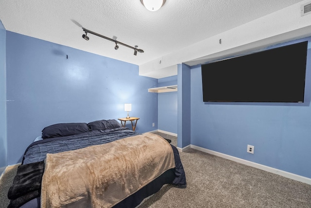 305 Barry Dr, Clarksville, TN 37040 - bedroom with track lighting, carpet floors, and a textured ceiling