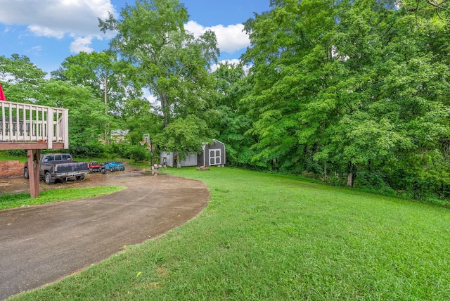 305 Barry Dr, Clarksville, TN 37040 - view of grassy yard with a storage shed, driveway, and view of wooded area
