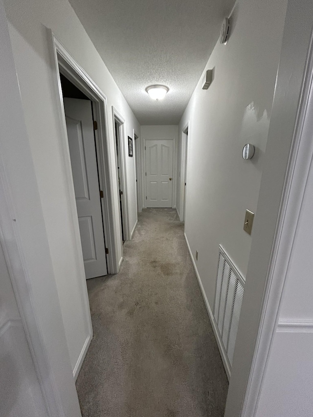 2519 Buckle St, Murfreesboro, TN 37129 - hallway featuring light carpet and a textured ceiling