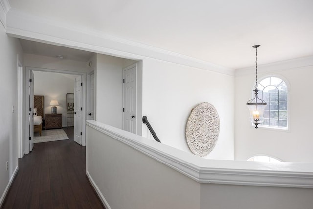 5925 Westheimer Dr, Brentwood, TN 37027 - hallway featuring dark wood finished floors and ornamental molding