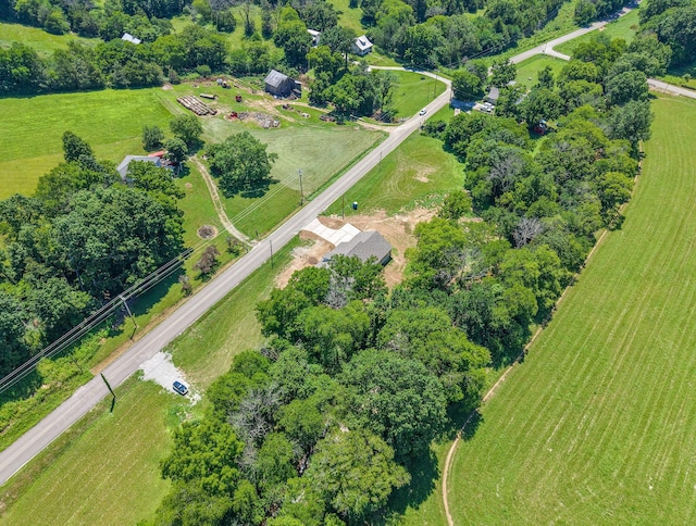 3931 Taylors Store Rd, Hampshire, TN 38461 - photo 55