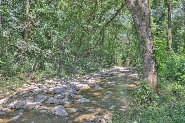 3931 Taylors Store Rd, Hampshire, TN 38461 - photo 47