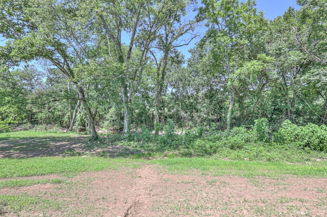 3931 Taylors Store Rd, Hampshire, TN 38461 - photo 43