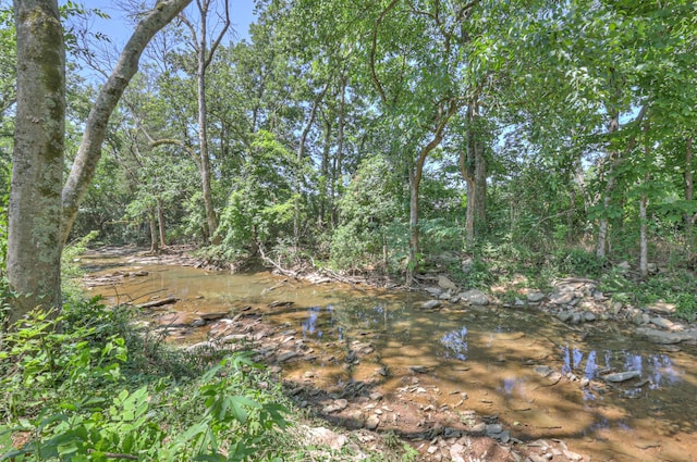 3931 Taylors Store Rd, Hampshire, TN 38461 - photo 46
