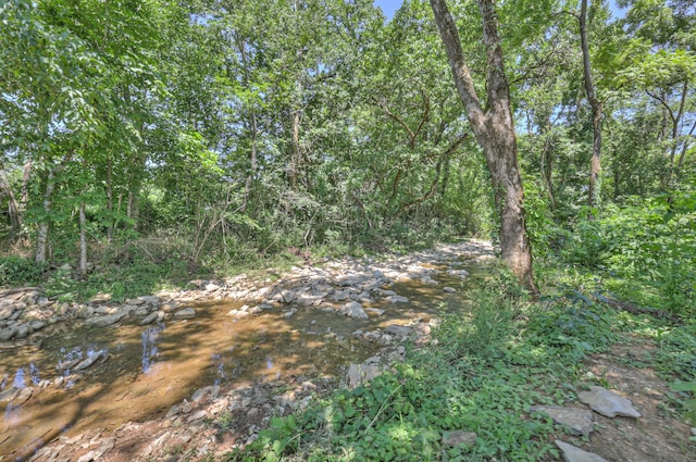 3931 Taylors Store Rd, Hampshire, TN 38461 - photo 45