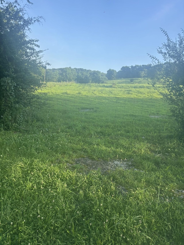 0 Preston Ln, Elmwood, TN 38560 - photo 2
