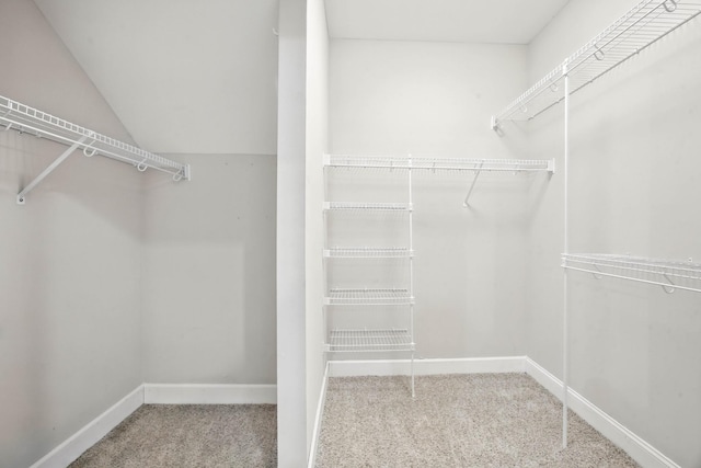 509 Kinslow Ln, Clarksville, TN 37040 - spacious closet featuring carpet floors and lofted ceiling