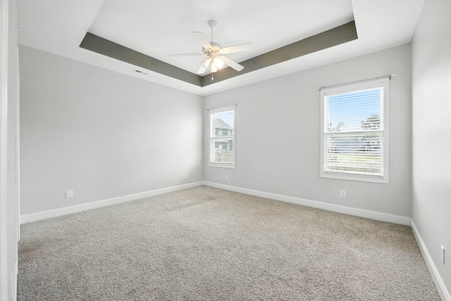 509 Kinslow Ln, Clarksville, TN 37040 - spare room featuring a tray ceiling, a ceiling fan, and carpet floors
