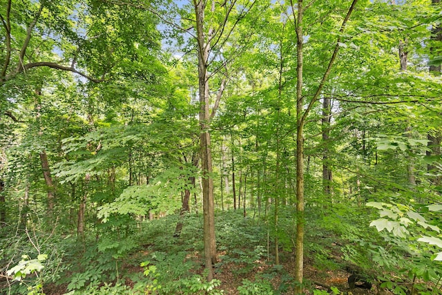 1455 Shell Rd, Goodlettsville, TN 37072 - view of tree filled area