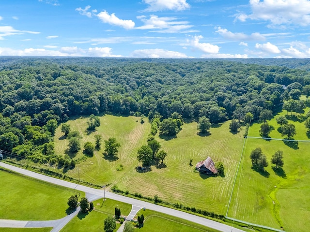 5185 Old Harding Rd, Franklin, TN 37064 - photo 12
