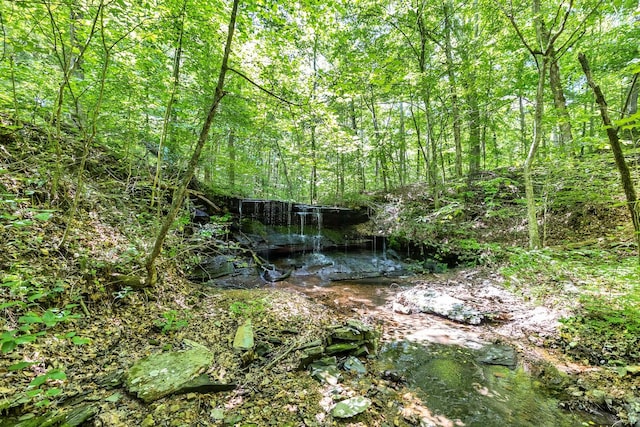 5185 Old Harding Rd, Franklin, TN 37064 - photo 28