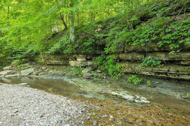 5185 Old Harding Rd, Franklin, TN 37064 - photo 26