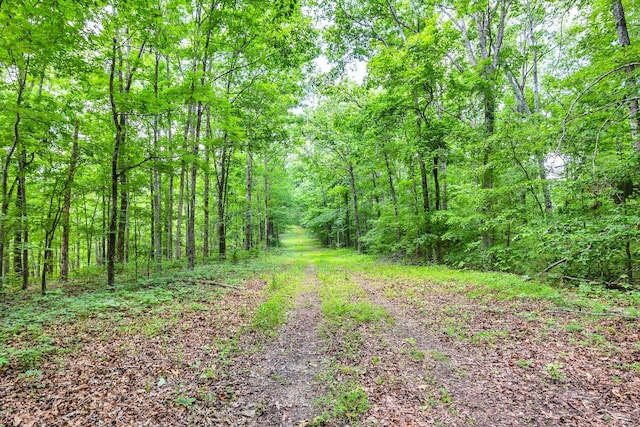 5185 Old Harding Rd, Franklin, TN 37064 - photo 13
