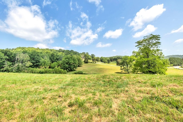 5185 Old Harding Rd, Franklin, TN 37064 - photo 2