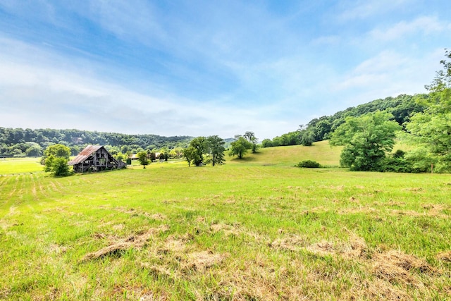 5185 Old Harding Rd, Franklin, TN 37064 - photo 16
